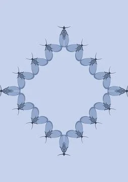 Illustration on A4 format - frames of moths. Design element for the design of Illustrazione stock