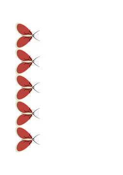 Illustration on A4 format - frames of moths. Design element for the design of Stock Illustration