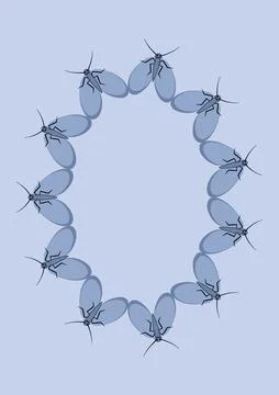 Illustration on A4 format - frames of moths. Design element for the design of イラスト素材