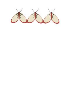 Illustration on A4 format - frames of moths. Design element for the design of Stock Illustration