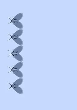 Illustration on A4 format - frames of moths. Design element for the design of Illustrazione stock