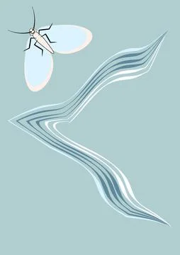 Illustration on A4 format - frames of moths. Design element for the design of イラスト素材