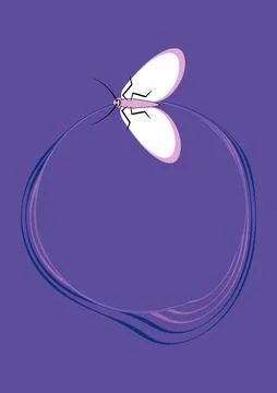 Illustration on A4 format - frames of moths. Design element for the design of Stock Illustration