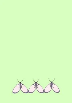 Illustration on A4 format - frames of moths. Design element for the design of Stock Illustration