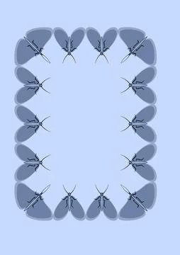 Illustration on A4 format - frames of moths. Design element for the design of Stockillustratie