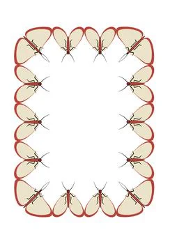 Illustration on A4 format - frames of moths. Design element for the design of イラスト素材