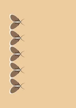 Illustration on A4 format - frames of moths. Design element for the design of イラスト素材