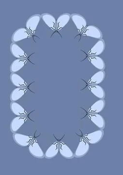 Illustration on A4 format - frames of moths. Design element for the design of イラスト素材