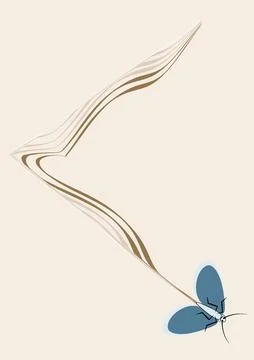 Illustration on A4 format - frames of moths. Design element for the design of Stock Illustration