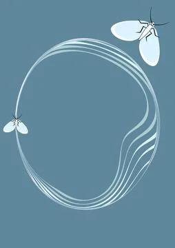 Illustration on A4 format - frames of moths. Design element for the design of Stock Illustration