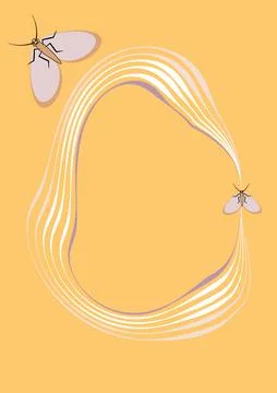 Illustration on A4 format - frames of moths. Design element for the design of Stock Illustration