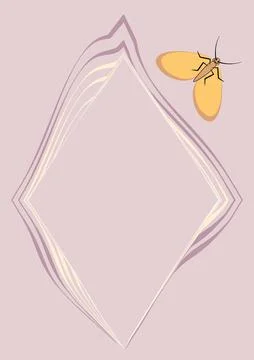 Illustration on A4 format - frames of moths. Design element for the design of Illustrazione stock
