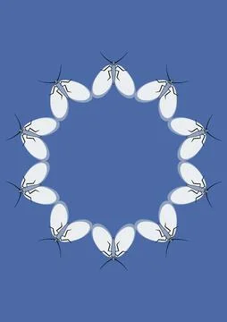 Illustration on A4 format - frames of moths. Design element for the design of Stock Illustration