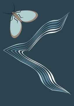 Illustration on A4 format - frames of moths. Design element for the design of Stock Illustration