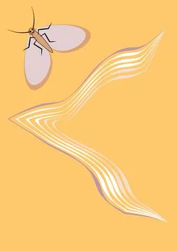 Illustration on A4 format - frames of moths. Design element for the design of Stock Illustration