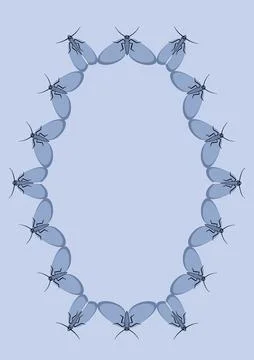 Illustration on A4 format - frames of moths. Design element for the design of Stock Illustration
