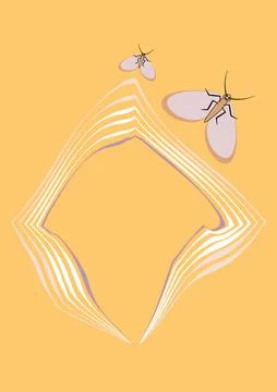 Illustration on A4 format - frames of moths. Design element for the design of Stockillustratie