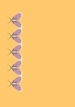 Illustration on A4 format - frames of moths. Design element for the design of Stock Illustration