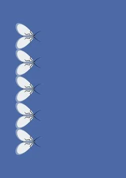 Illustration on A4 format - frames of moths. Design element for the design of Stockillustratie