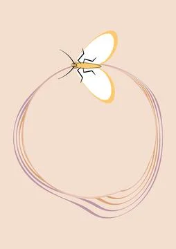 Illustration on A4 format - frames of moths. Design element for the design of Stock Illustration
