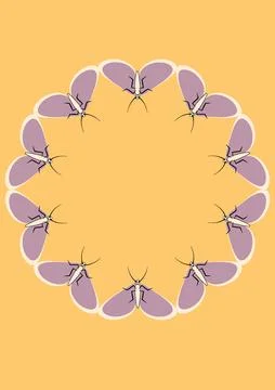 Illustration on A4 format - frames of moths. Design element for the design of イラスト素材