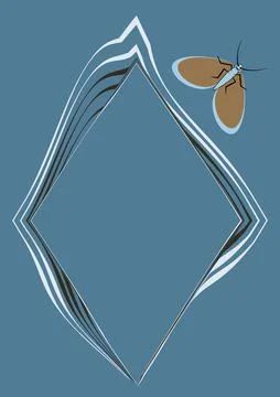 Illustration on A4 format - frames of moths. Design element for the design of Illustrazione stock