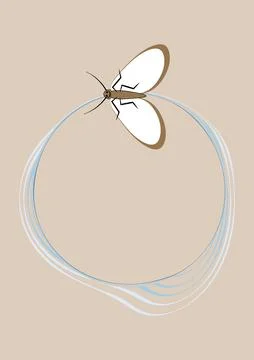Illustration on A4 format - frames of moths. Design element for the design of Stockillustratie