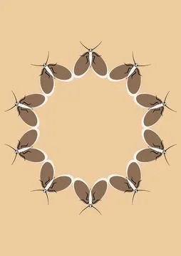 Illustration on A4 format - frames of moths. Design element for the design of イラスト素材