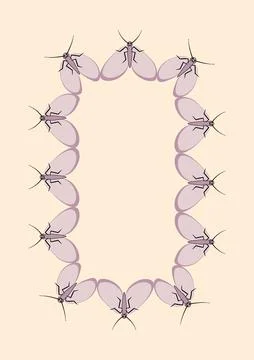 Illustration on A4 format - frames of moths. Design element for the design of Illustrazione stock