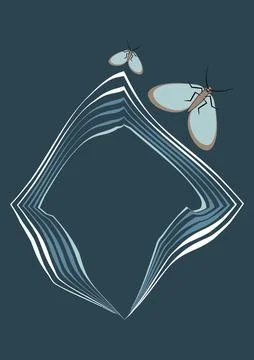 Illustration on A4 format - frames of moths. Design element for the design of Stockillustratie