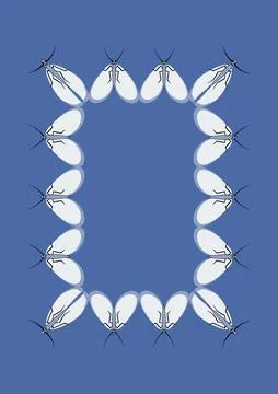 Illustration on A4 format - frames of moths. Design element for the design of Stock Illustration