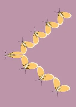Illustration on A4 format - frames of moths. Design element for the design of Stockillustratie