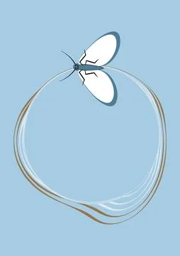 Illustration on A4 format - frames of moths. Design element for the design of Stock Illustration