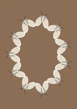 Illustration on A4 format - frames of moths. Design element for the design of Illustrazione stock