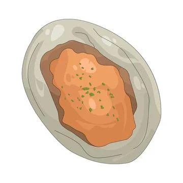 Illustration of Abalone Stock Illustration