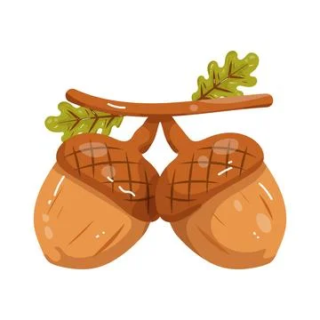 Illustration of acorn pair Ilustração Stock