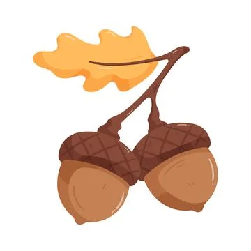 Illustration of acorn pair Ilustração Stock
