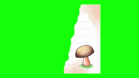 Illustration Animated - Chroma Key Green Screen Footage Stock-Footage 337990763