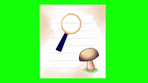 Illustration Animated Motion Graphic Overlay Stock Footage 337990720