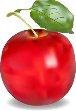 Illustration of an apple on a white background Stock Illustration