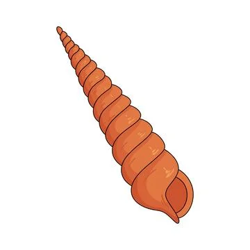 Illustration of auger shell Stock Illustration