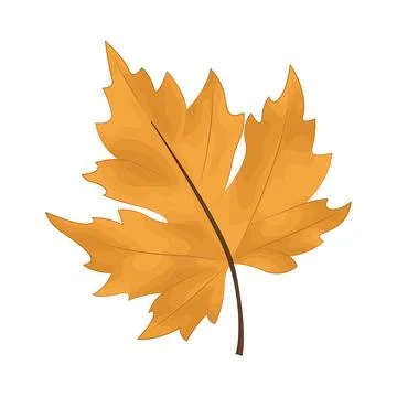 Illustration of autumn leaf 스톡 일러스트