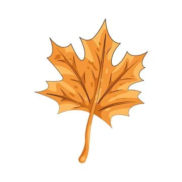 Illustration of autumn leaf Illustrazione stock