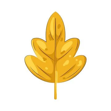Illustration of autumn leaf Stock Illustration