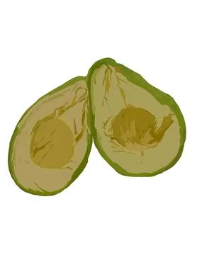 Illustration of avocado Stock Illustration