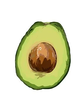 Illustration of avocado Stock Illustration