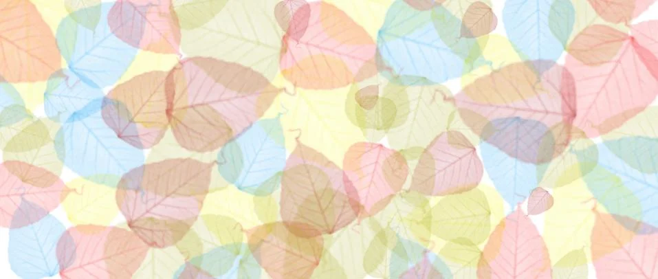 Illustration background of transparent colored leaves, panoramic format Stock Illustration