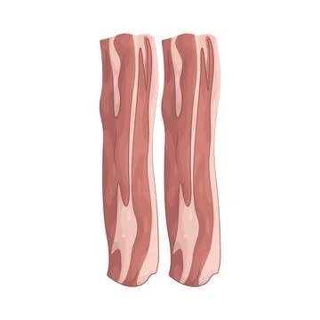 Illustration of Bacon Stock Illustration