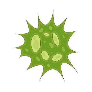 Illustration of Bacteria Stock Illustration