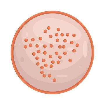 Illustration of Bacterial Colony Stock Illustration